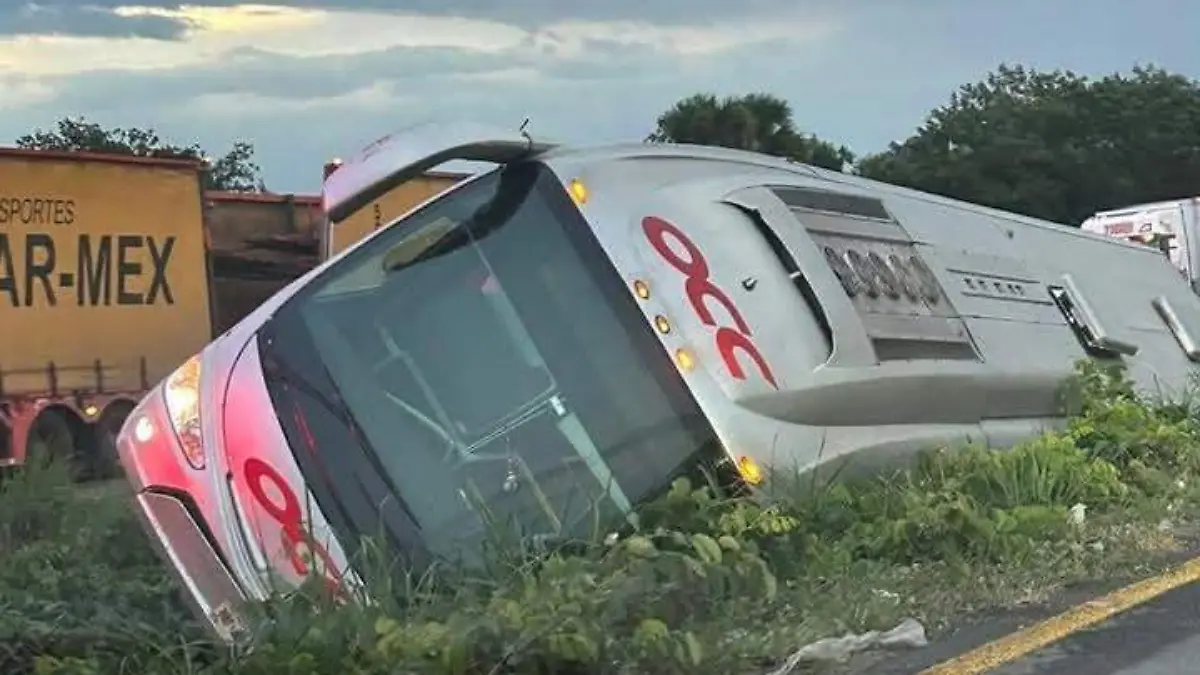 El camión quedó a un lado de camino.